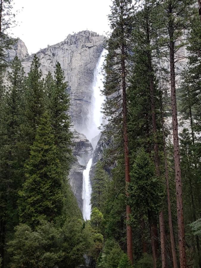 Yosemite Foothill Retreat - Private Guest Suite #3 Coarsegold Exterior photo